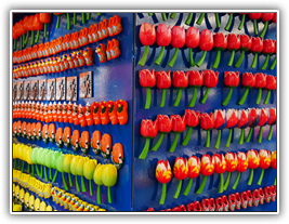 Amsterdam - Blumenmarkt