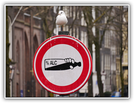 Amsterdam - das Alkoholverbot wird möwenstreng überwacht