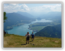 Zwölferhorn - Blick auf Wolfgangsee