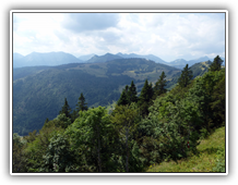 Zwölferhorn