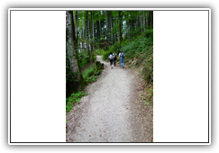 zum Filblingsee