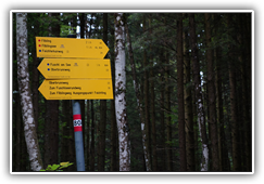 zum Filblingsee