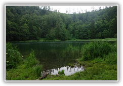 am Filblingsee