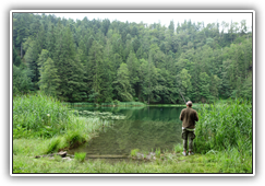 am Filblingsee