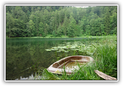 am Filblingsee