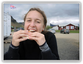 Island - oder ein Chipsburger für die Vegetarier