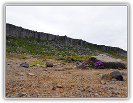 Island - Gerðuberg Basaltsäulen