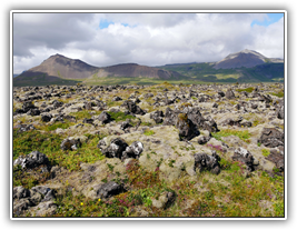 Island - Búðir