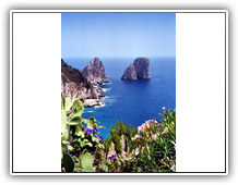 Capri - Küstenfelsen