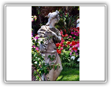 Capri - Garten