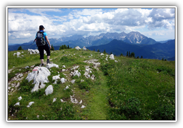 das Wetter ist traumhaft