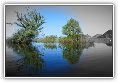 Montenegro - Skutarisee