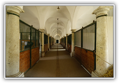 Schloss Hof - Stallungen
