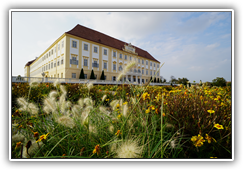 Schloss Hof