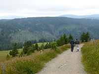 Feldberg