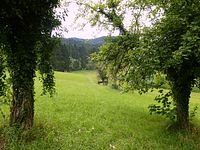 Park der Sinne