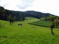 Park der Sinne
