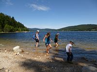 Schluchsee - einsame Badebuchten