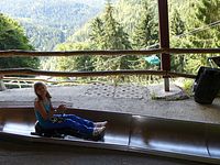 Steinwasenpark - Marlene verfolgt sie