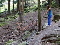 Steinwasenpark