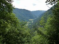 Steinwasenpark - Blick Richtung Feldberg