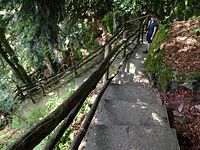 Steinwasenpark - und wieder runter