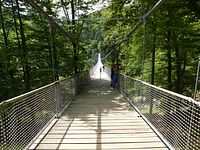 Steinwasenpark - die lngste Hngebrcke Deutschlands