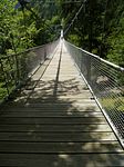 Steinwasenpark - die lngste Hngebrcke Deutschlands