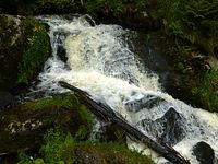 Triberger Wasserflle