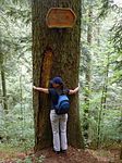 Triberger Wasserflle - Andrea herzt einen sehr alten Baum