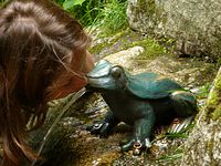 Triberger Wasserflle - Froschknig???