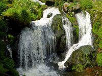 Triberger Wasserflle