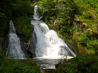 Triberger Wasserflle