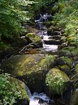 Triberger Wasserflle