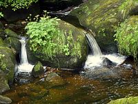 Triberger Wasserflle