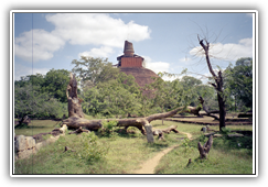 Sri Lanka