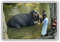 Sri Lanka