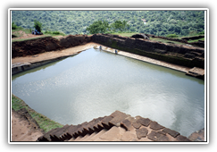 Sri Lanka - Sigirya Pool