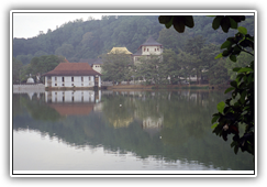 Sri Lanka - Zahntempel