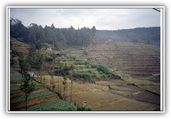 Sri Lanka - Hochland