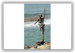 Sri Lanka - Beruwela