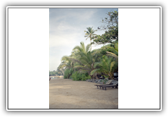 Sri Lanka - Beruwela