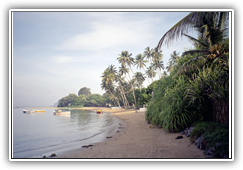 Sri Lanka - Beruwela