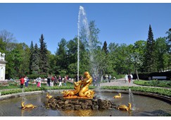 Peterhof - Schloss Peterhof