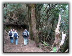 Teneriffa - Wanderung zum Höhlendorf Chinamada