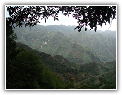 Teneriffa - Wanderung zum Höhlendorf Chinamada