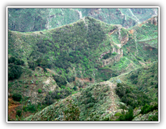 Teneriffa - Wanderung zum Höhlendorf Chinamada