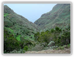 Teneriffa - Wanderung zum Höhlendorf Chinamada