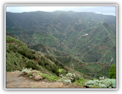 Teneriffa - Wanderung zum Höhlendorf Chinamada
