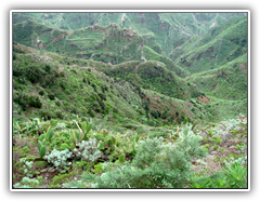 Teneriffa - Wanderung zum Höhlendorf Chinamada
